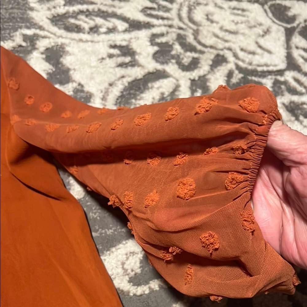 Pink Lily rust colored Blouse - Picture 2 of 4